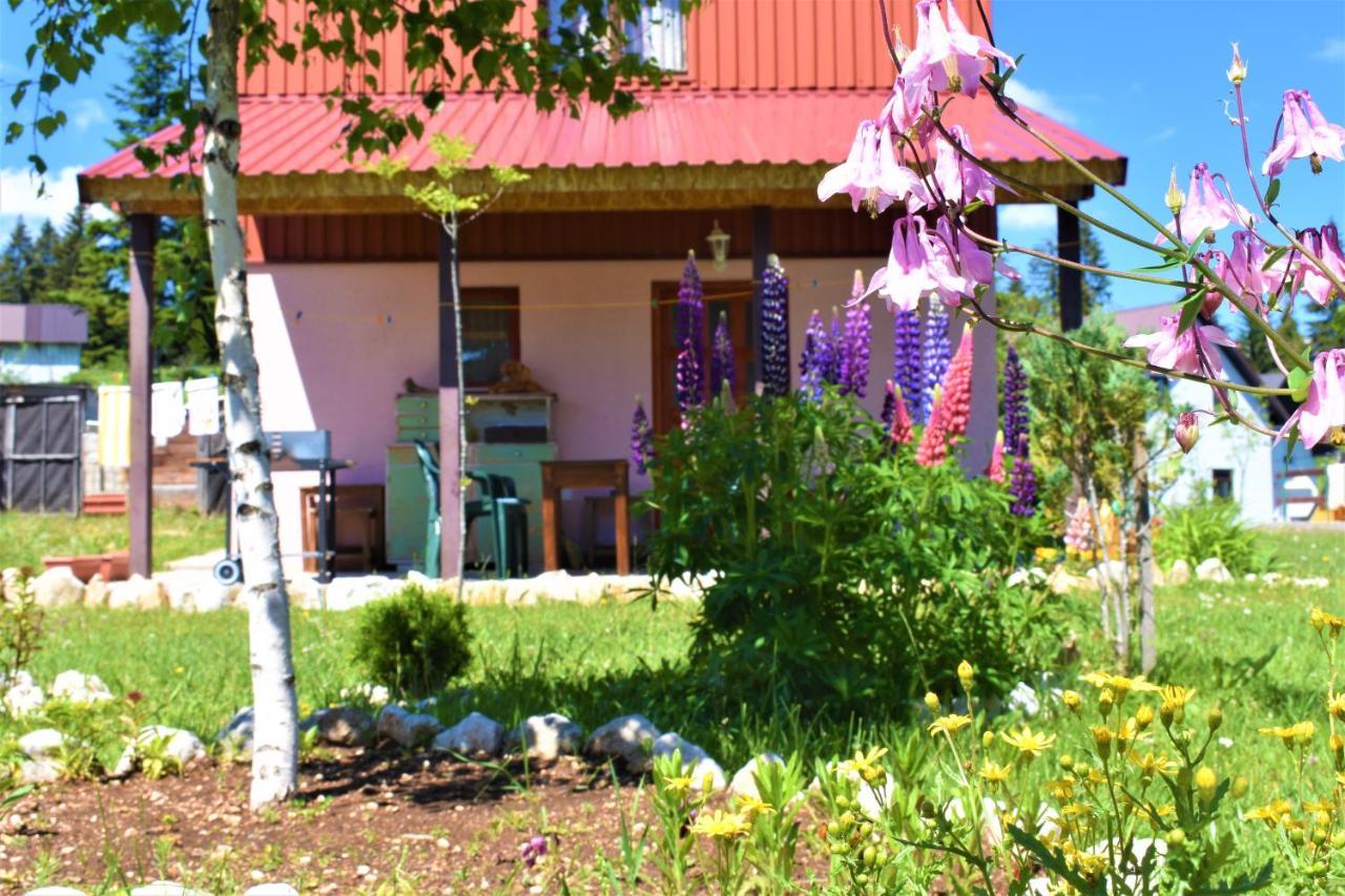 Sepic Accommodation Žabljak Exteriér fotografie