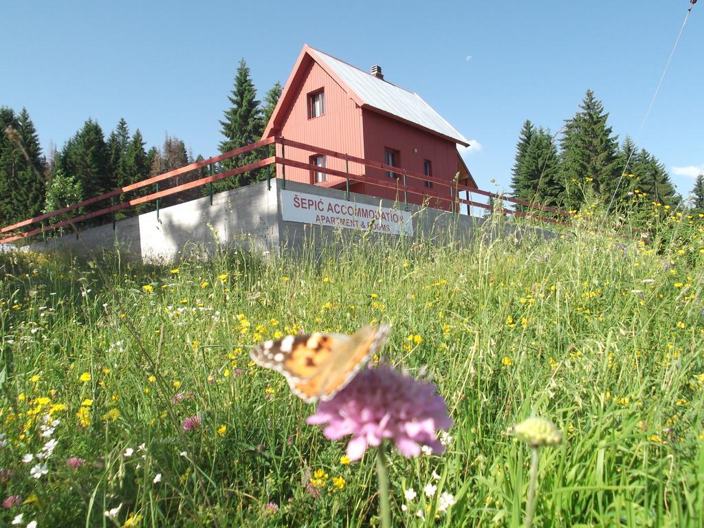 Sepic Accommodation Žabljak Exteriér fotografie