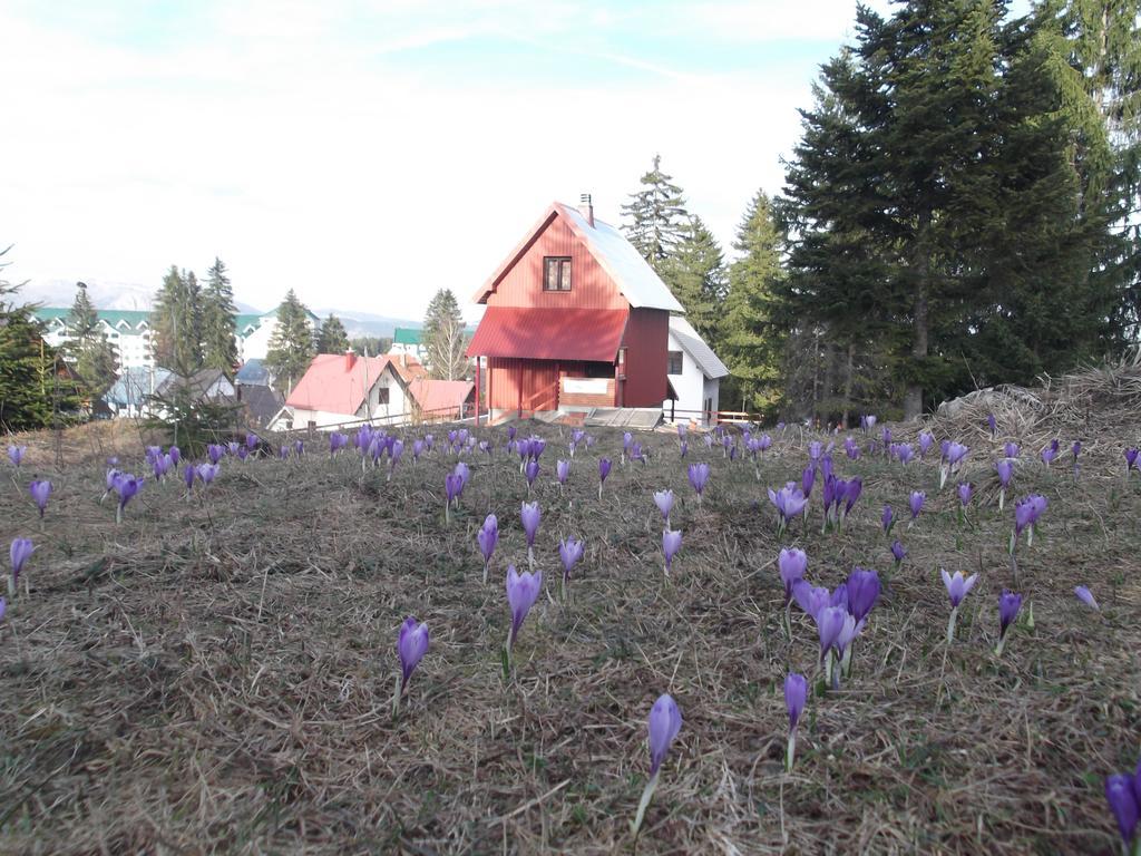 Sepic Accommodation Žabljak Exteriér fotografie
