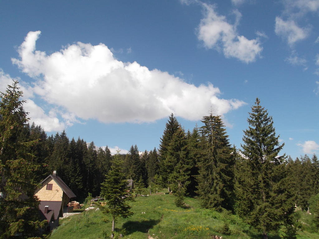 Sepic Accommodation Žabljak Pokoj fotografie